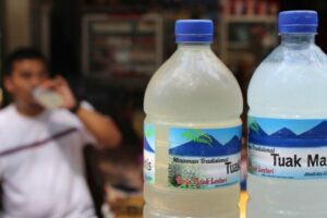 13MinumanTuakdalamAdatBatakTobajpeg Komodo Wonders