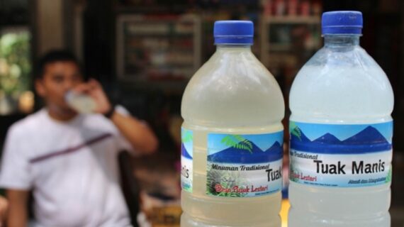 13MinumanTuakdalamAdatBatakTobajpeg Komodo Wonders