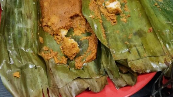 spicycoconutotakotak1680214555b92138adprogressivejpg Komodo Wonders